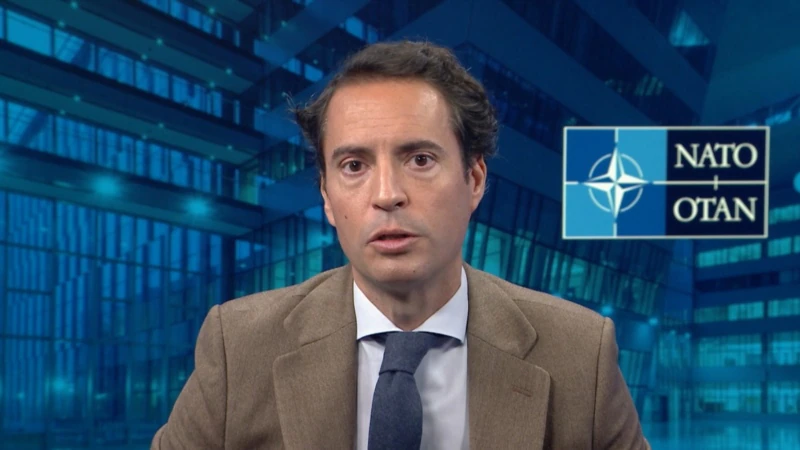 NATO-nun qapısı Gürcüstan üçün açıqdır, amma…
