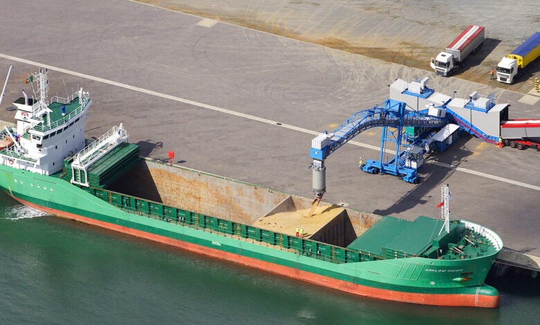 Türkiyə Ukraynadan taxıl daşıyır? – İlk gəmi Mariupol limanından çıxıb