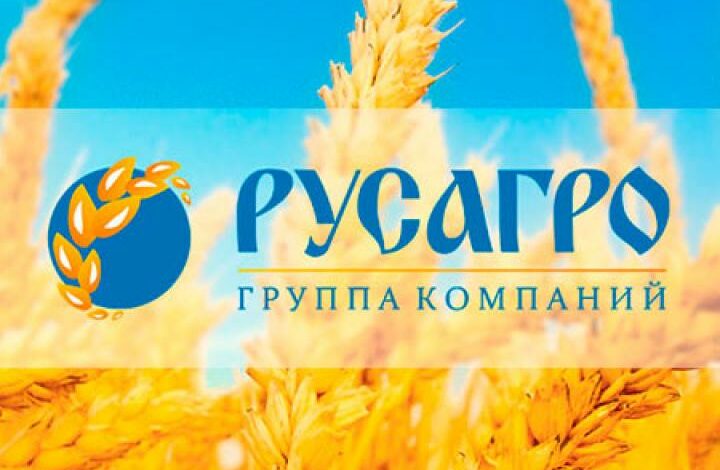 “Rusaqro” iflas olur – Rusiyanın məşhur kənd təsərrüfatı şirkətinin gəliri 99 faiz azalıb