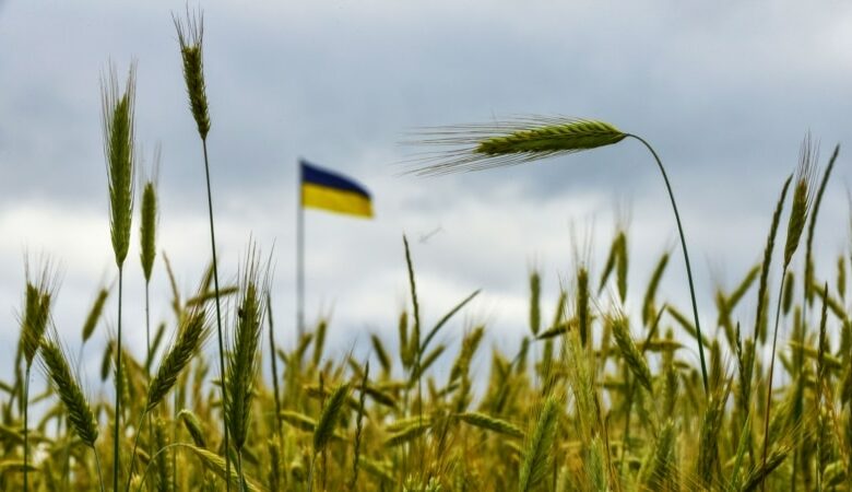 Ukrayna yenidən taxil ixracını dayandırmağa məcbur olduğunu bildirir