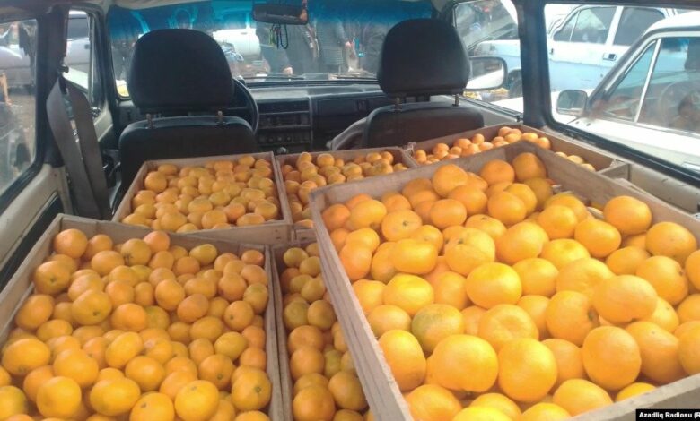 Bazarsız qalan fermerlər: “Meyvə Rusiyaya gedirdi, daha getmir…”