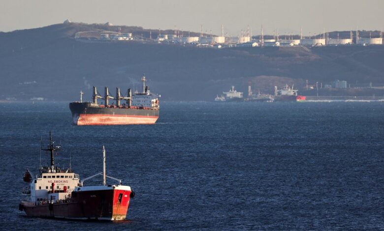 An oil tanker and bulk carrier sail near the crude oil terminal Kozmino in Nakhodka Bay