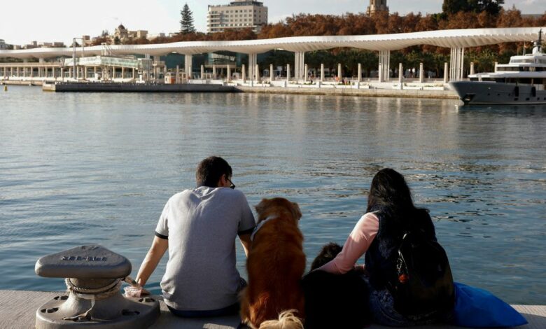 People with their dogs enjoy the sun in front of the sea during unseasonably warm temperatures in Malaga
