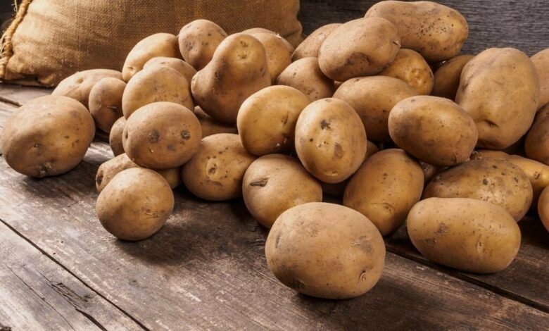 Kartof niyə kəskin bahalaşıb – VİDEO