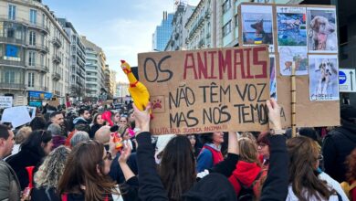 People demonstrate for animal rights in Lisbon