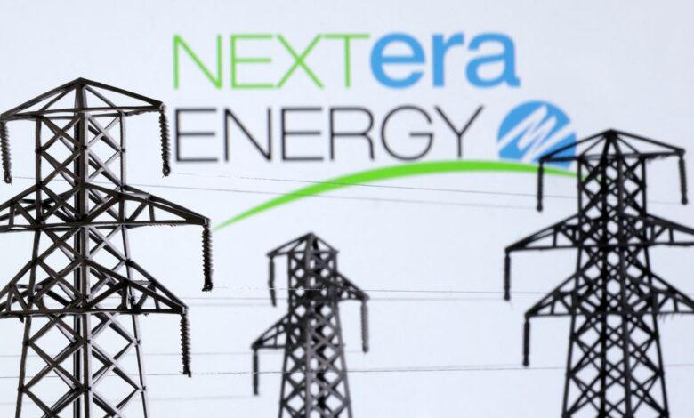 Illustration shows Electric power transmission pylon miniatures and Nextera Energy logo