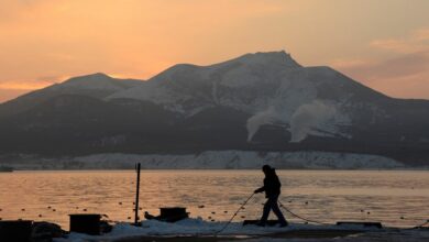 No annual Russia-Japan talks on fishing near disputed islands - Moscow