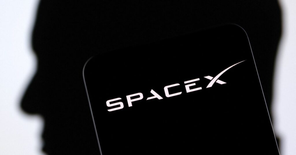 Illustration shows SpaceX logo and Elon Musk silluete