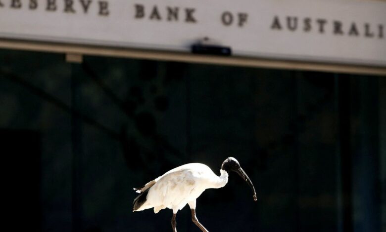 An ibis bird perches next to the Reserve Bank of Australia headquarters in central Sydney