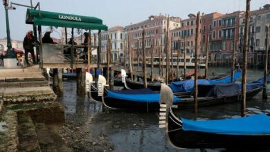 Gondolas are pictured in the Grand Canal during a severe low tide in the lagoon city of Venice