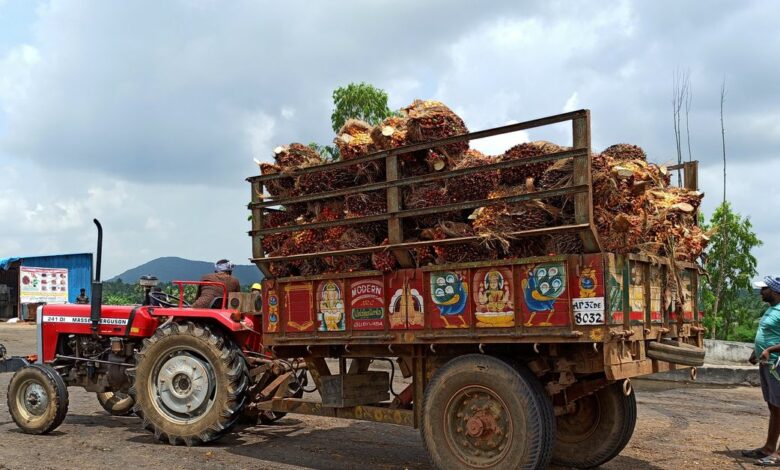 A farmer prepares to unload oil palm bunches from a tractor trolley in a mill at Dwaraka Tirumala
