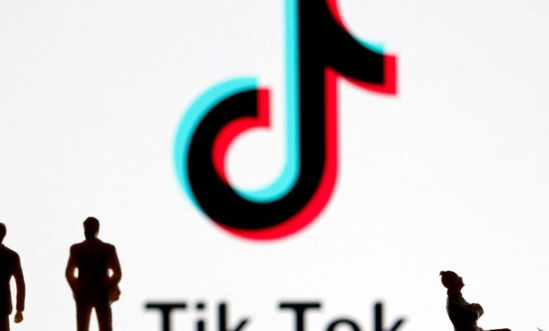A 3-D printed figures are seen in front of displayed Tik Tok logo in this picture illustration
