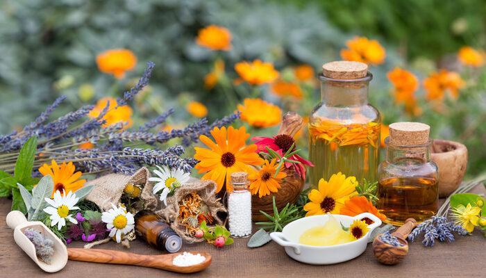 Homeopatiya ilə fitoterapiya arasındakı fərq nədir?