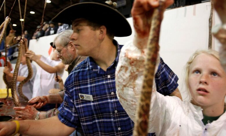 Members of the Jaycees skin rattlesnakes at the World