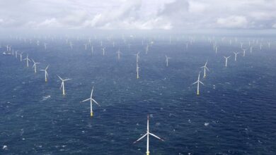 Power-generating windmill turbines are pictured at the 'Amrumbank West' offshore windpark in the northern sea near the island of Amrum