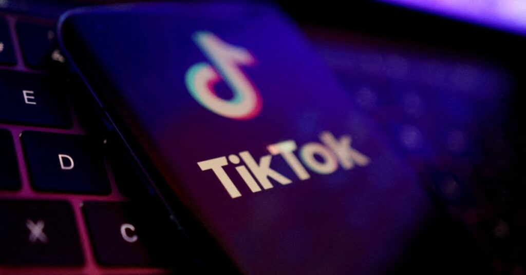 FILE PHOTO: Illustration shows TikTok app logo