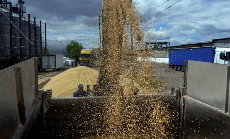 A worker loads a truck with grain at a terminal during barley harvesting in Odesa region
