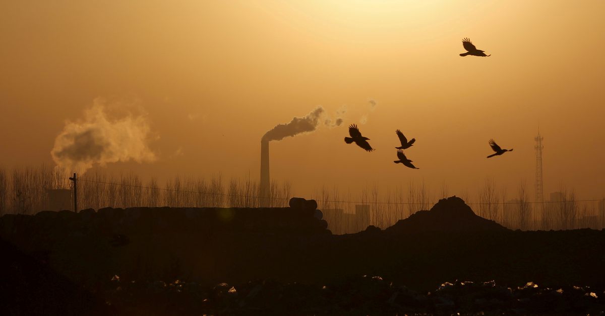 Birds fly over a closed steel factory where chimneys of another working factory are seen in background, in Tangshan