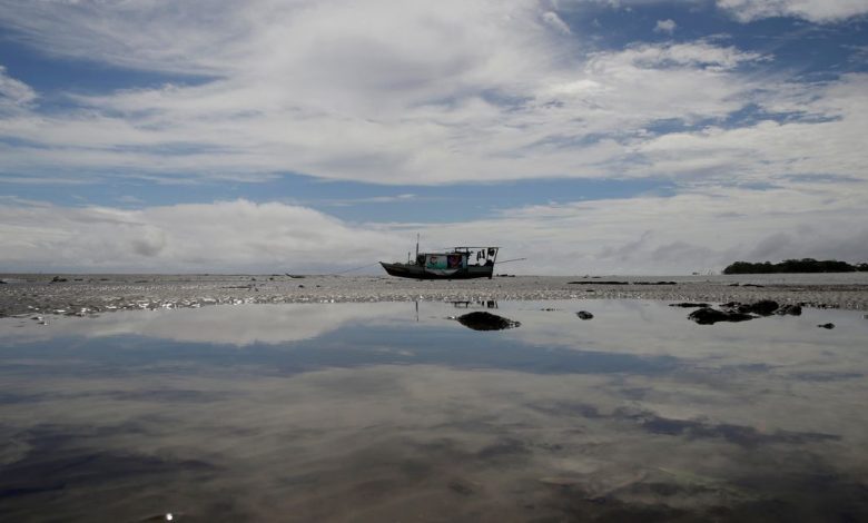 The Wider Image: Brazil's new oil frontier threatens Amazon reef
