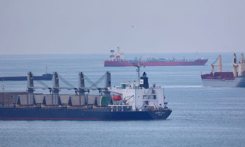 Belize flag bulk carrier Queen Lila waits in the northern anchorage of Istanbul