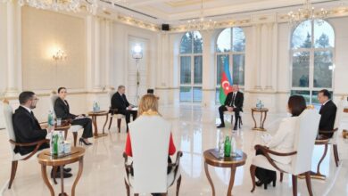 İlham Əliyev Prezident seçkilərinin səbəblərini açıqladı